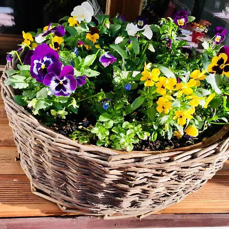 Kristínka Pensión 4*