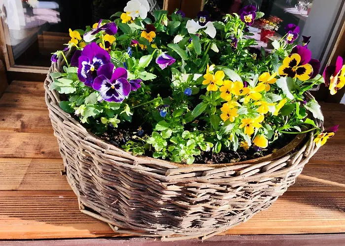 Kristinka Gæstehus 4*