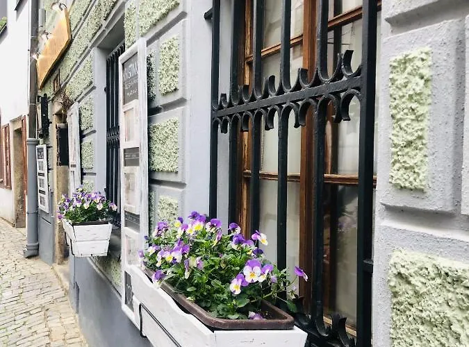 Gasthuis Kristinka 4*